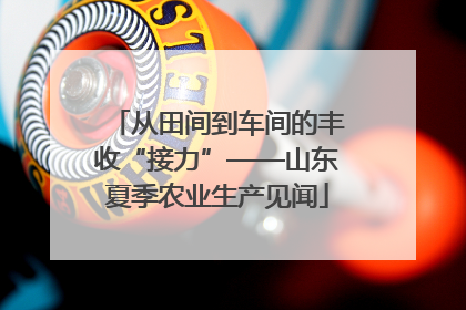 从田间到车间的丰收“接力”——山东夏季农业生产见闻