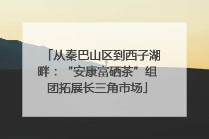 从秦巴山区到西子湖畔：“安康富硒茶”组团拓展长三角市场
