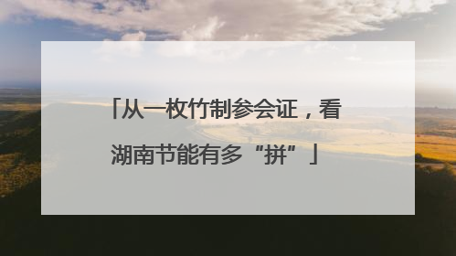 从一枚竹制参会证，看湖南节能有多“拼”