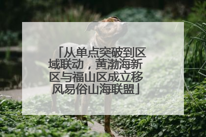 从单点突破到区域联动，黄渤海新区与福山区成立移风易俗山海联盟