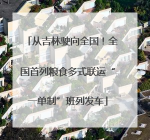 从吉林驶向全国！全国首列粮食多式联运“一单制”班列发车