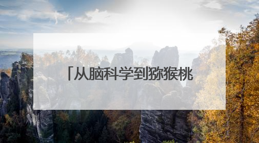 从脑科学到猕猴桃——中外联合实验室奏响“一带一路”科技合作交响曲
