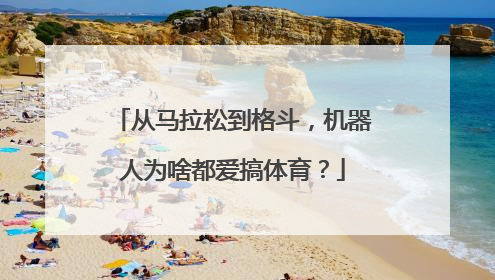 从马拉松到格斗，机器人为啥都爱搞体育？