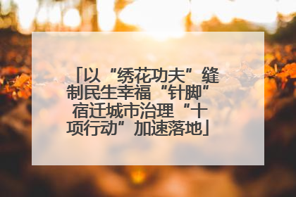 以“绣花功夫”缝制民生幸福“针脚” 宿迁城市治理“十项行动”加速落地