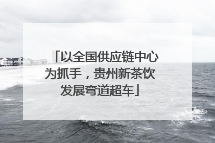 以全国供应链中心为抓手，贵州新茶饮发展弯道超车