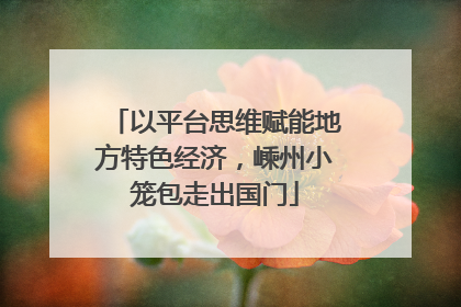 以平台思维赋能地方特色经济，嵊州小笼包走出国门