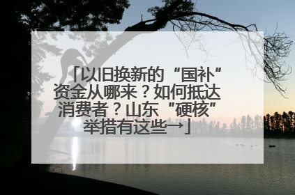 以旧换新的“国补”资金从哪来？如何抵达消费者？山东“硬核”举措有这些→