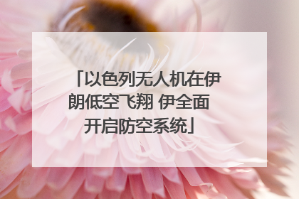 以色列无人机在伊朗低空飞翔 伊全面开启防空系统