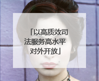 以高质效司法服务高水平对外开放