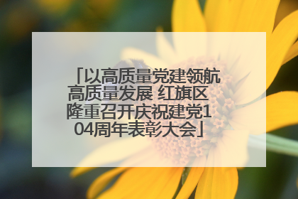 以高质量党建领航高质量发展 红旗区隆重召开庆祝建党104周年表彰大会