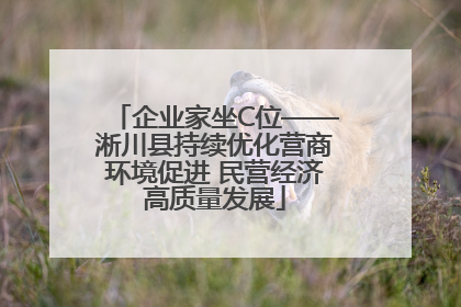 企业家坐C位——淅川县持续优化营商环境促进 民营经济高质量发展