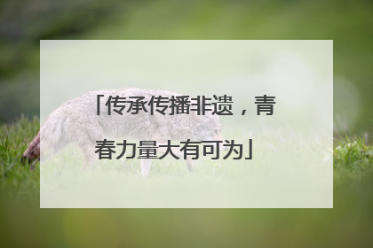 传承传播非遗，青春力量大有可为