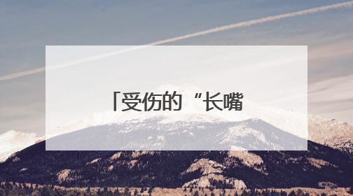受伤的“长嘴鸟”造访徐州沛县！暖心救助守护自然精灵