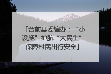 台前县委编办：“小设施”护航“大民生” 保障村民出行安全