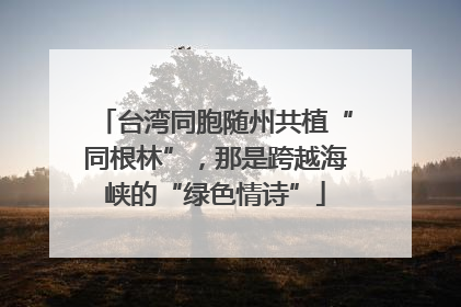 台湾同胞随州共植“同根林”，那是跨越海峡的“绿色情诗”