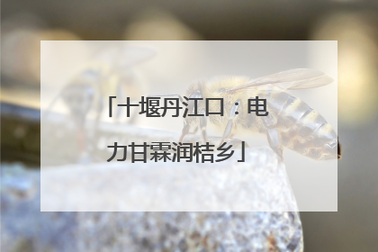十堰丹江口：电力甘霖润桔乡