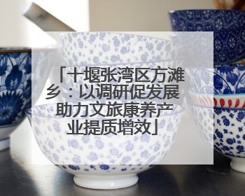 十堰张湾区方滩乡：以调研促发展 助力文旅康养产业提质增效
