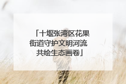 十堰张湾区花果街道守护文明河流 共绘生态画卷