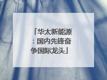 华太新能源：国内先锋奋争国际龙头