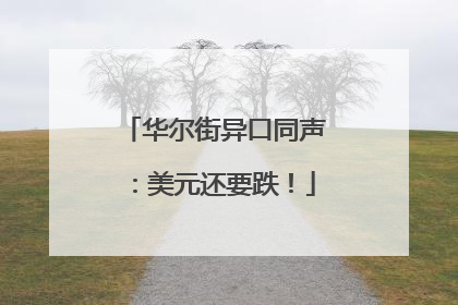 华尔街异口同声：美元还要跌！