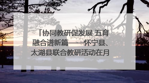 协同教研促发展 五育融合谱新篇——怀宁县、太湖县联合教研活动在月山镇中心学校成功举办
