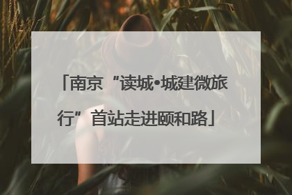 南京“读城•城建微旅行”首站走进颐和路