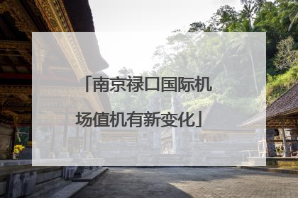 南京禄口国际机场值机有新变化