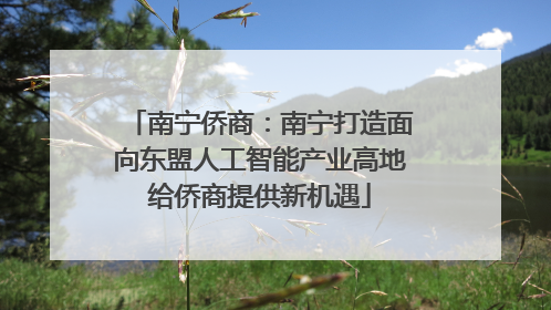 南宁侨商：南宁打造面向东盟人工智能产业高地给侨商提供新机遇