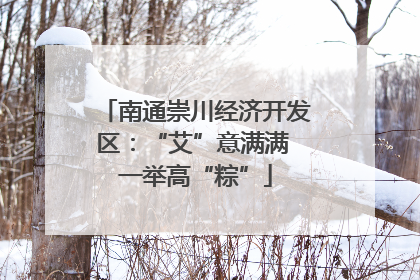 南通崇川经济开发区：“艾”意满满 一举高“粽”