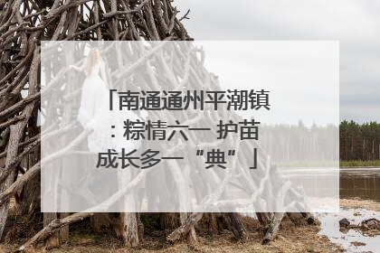 南通通州平潮镇：粽情六一 护苗成长多一“典”