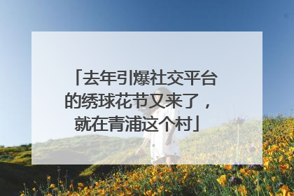 去年引爆社交平台的绣球花节又来了，就在青浦这个村