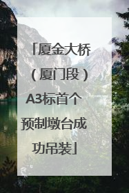 厦金大桥（厦门段）A3标首个预制墩台成功吊装