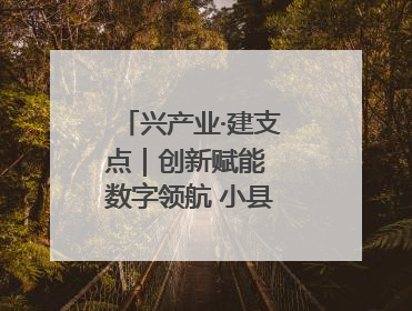 兴产业·建支点｜创新赋能 数字领航 小县城迎来大发展