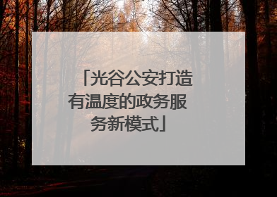 光谷公安打造有温度的政务服务新模式