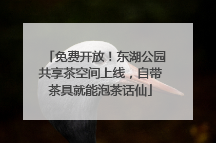 免费开放！东湖公园共享茶空间上线，自带茶具就能泡茶话仙