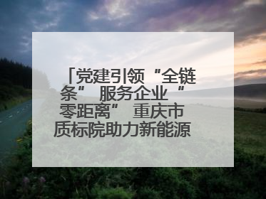 党建引领“全链条” 服务企业“零距离” 重庆市质标院助力新能源汽车产业链提升质量管理水平
