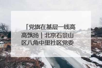 党旗在基层一线高高飘扬｜北京石景山区八角中里社区党委：用脚步丈量民生