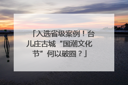 入选省级案例！台儿庄古城“国潮文化节”何以破圈？