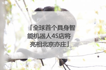 全球首个具身智能机器人4S店将亮相北京亦庄