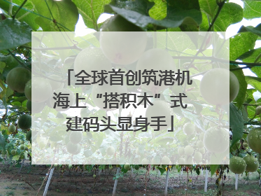 全球首创筑港机海上“搭积木”式建码头显身手