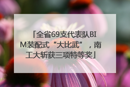 全省69支代表队BIM装配式“大比武”，南工大斩获三项特等奖