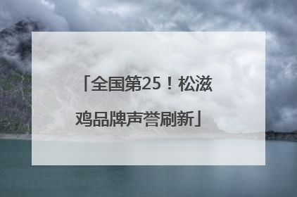 全国第25！松滋鸡品牌声誉刷新
