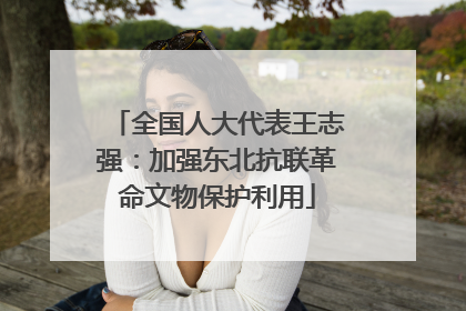 全国人大代表王志强：加强东北抗联革命文物保护利用