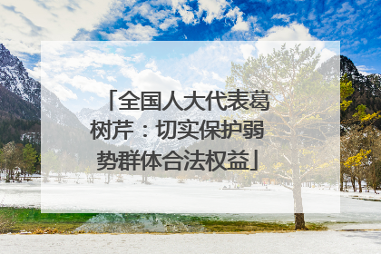 全国人大代表葛树芹：切实保护弱势群体合法权益