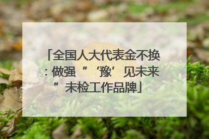 全国人大代表金不换：做强“‘豫’见未来”未检工作品牌