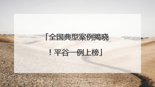 全国典型案例揭晓！平谷一例上榜