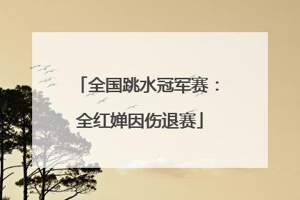 全国跳水冠军赛：全红婵因伤退赛