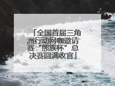 全国首届三角洲行动网咖邀请赛“熊族杯”总决赛圆满收官