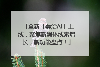 全新「美洽AI」上线，聚焦新媒体线索增长，新功能盘点！