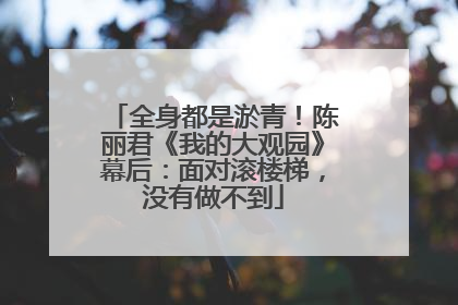 全身都是淤青！陈丽君《我的大观园》幕后：面对滚楼梯，没有做不到